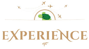 Travellers Experience